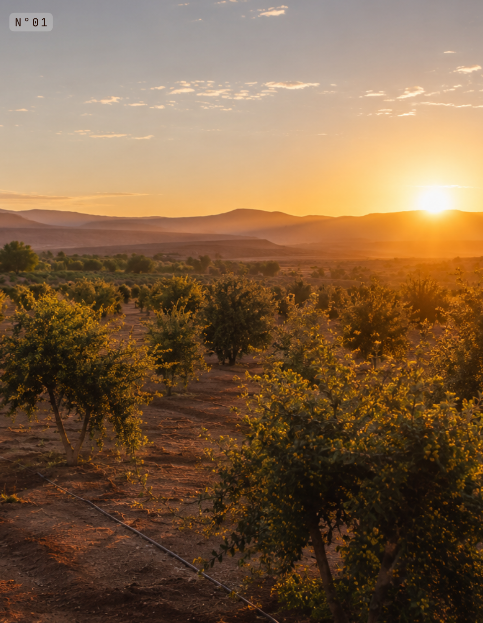 laube-maroc